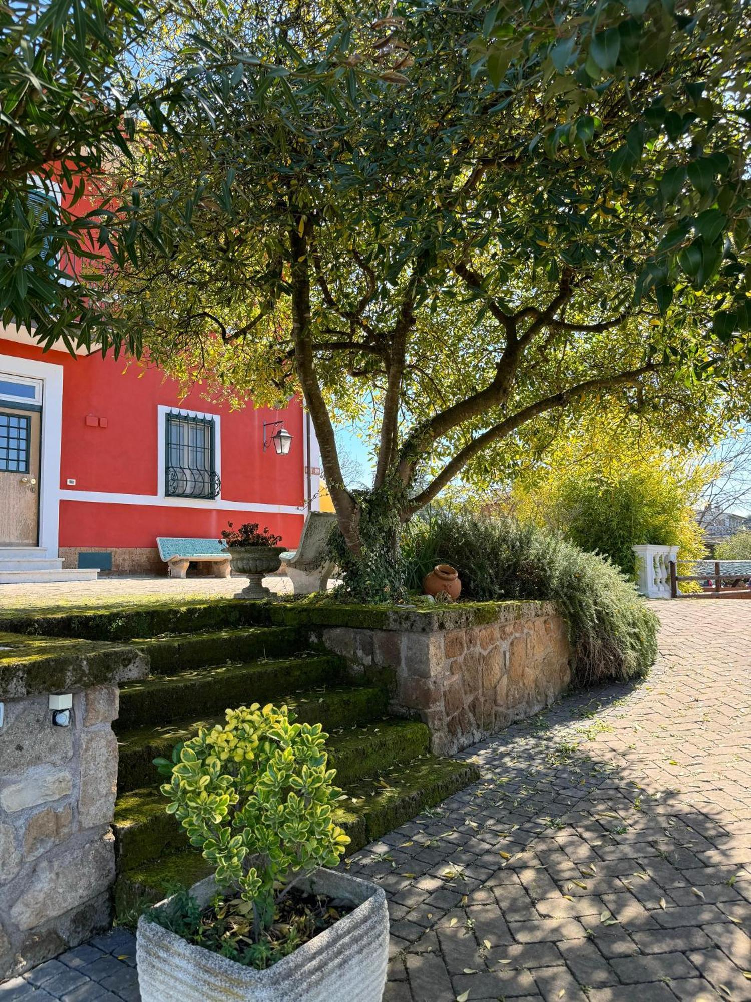 Bed and Breakfast La Terrazza Su Roma Zagarolo Zewnętrze zdjęcie